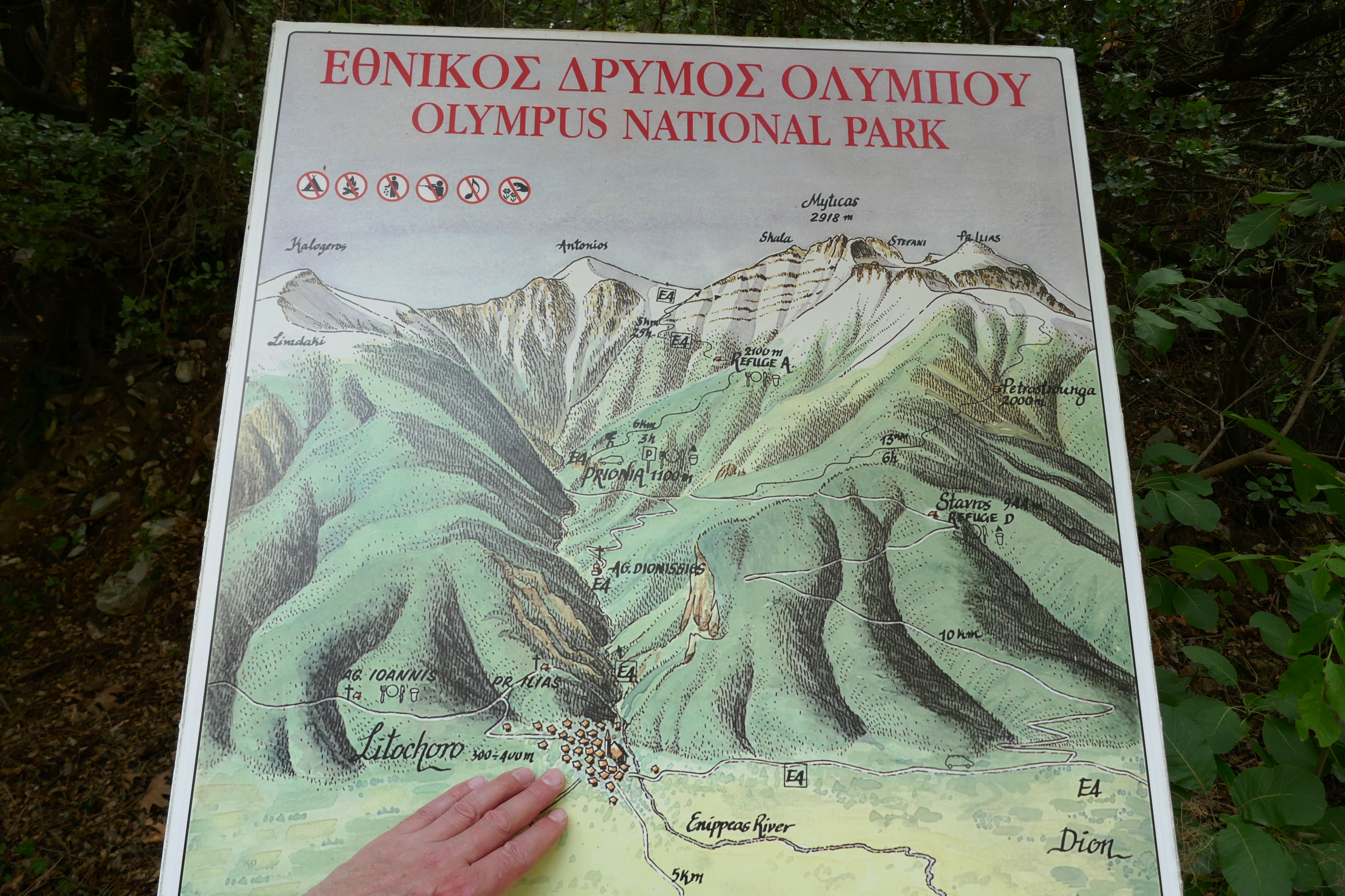 NP Olymp skica